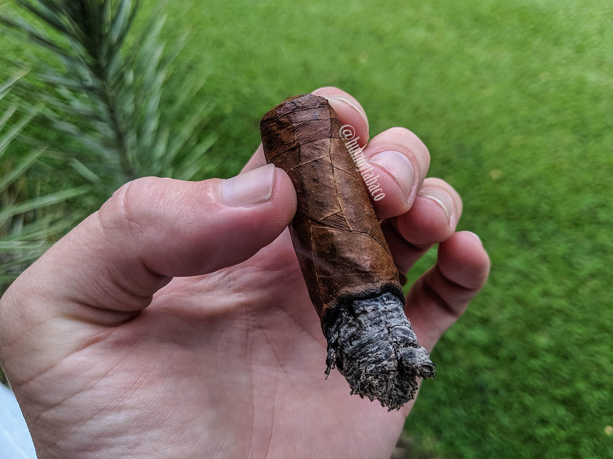 Room 101 - Farce Habano 05