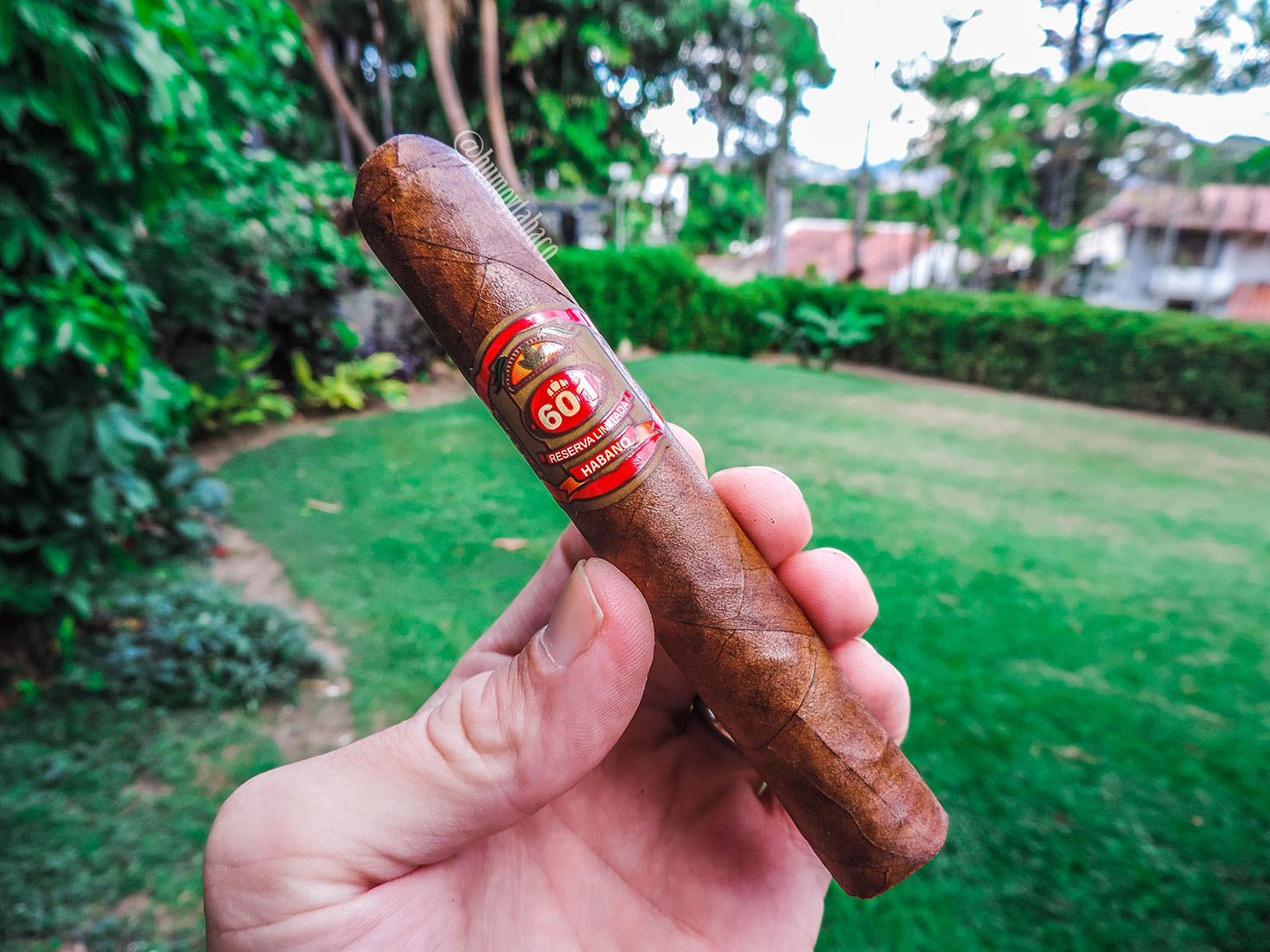 601 - Red Label Habano 01