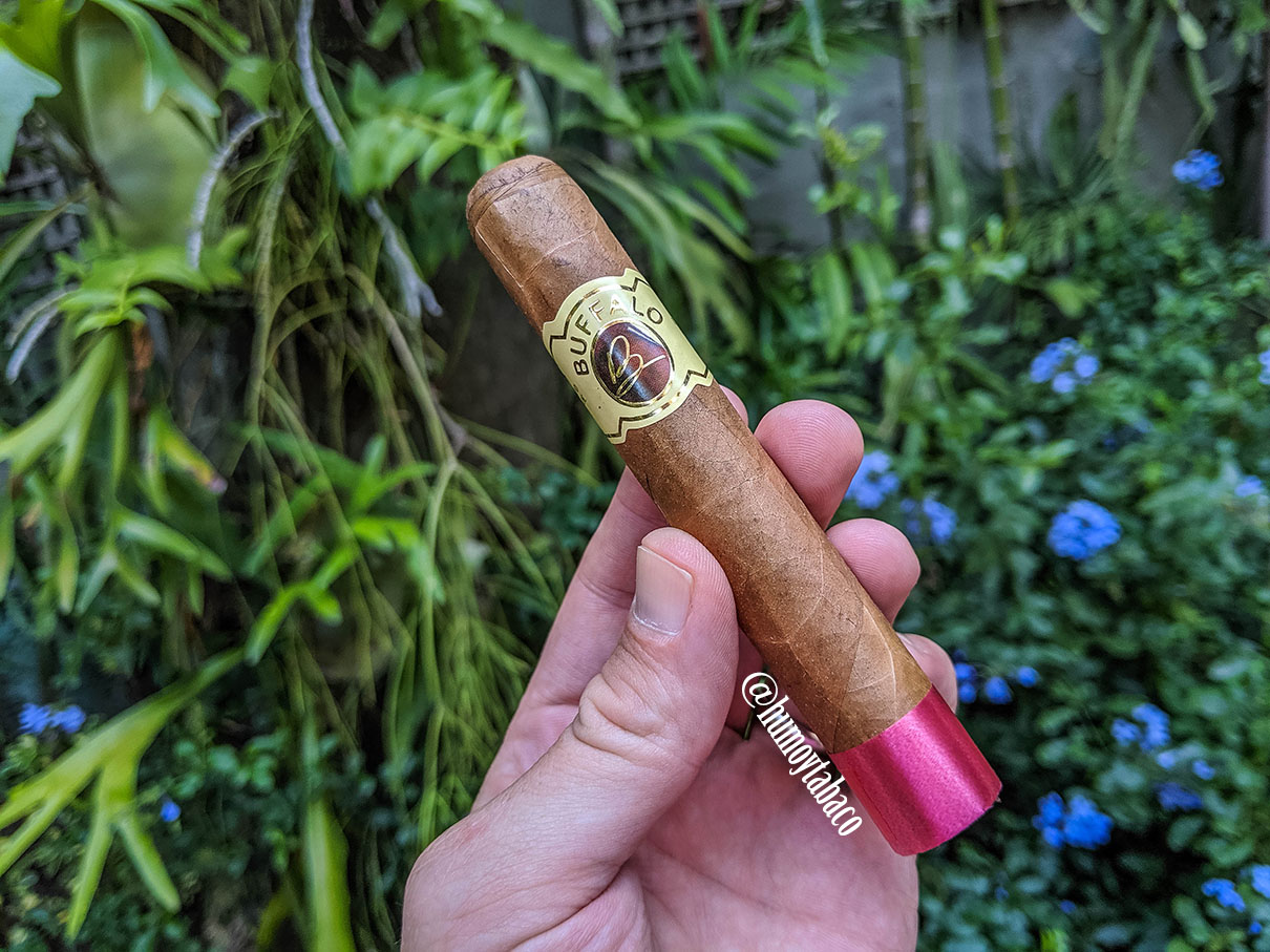 Buffalo - Connecticut 01