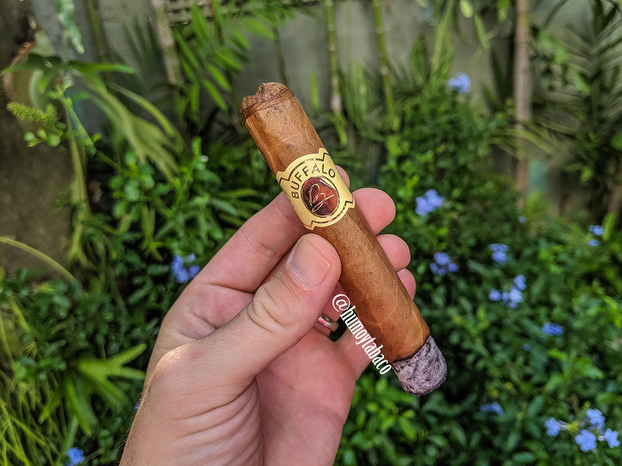 Buffalo - Connecticut 02