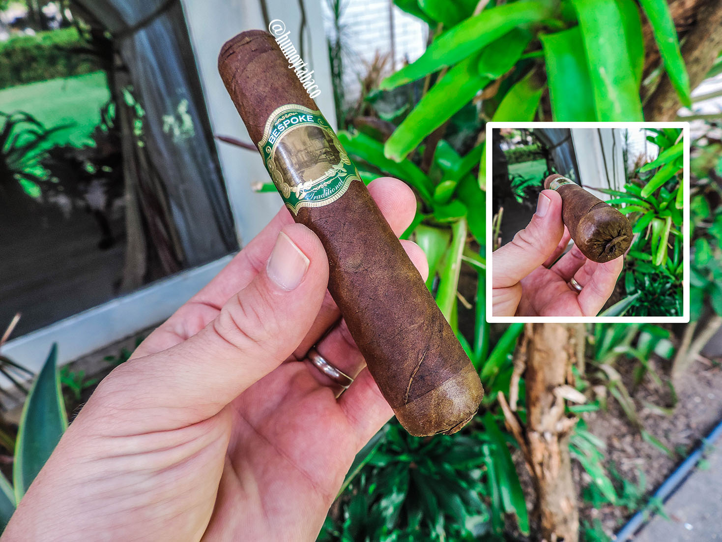 Casdagli - Traditional Cottontail 01