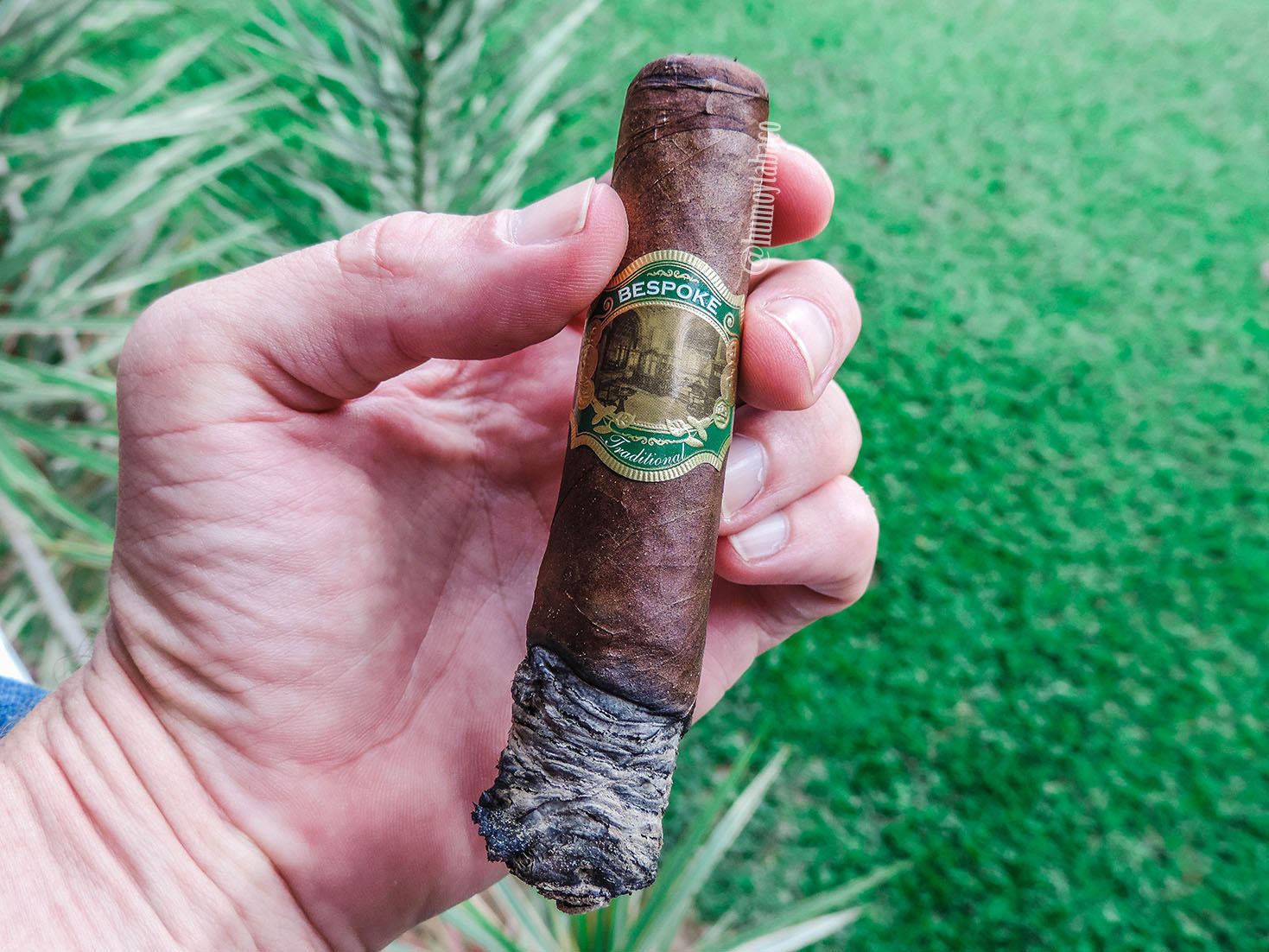 Casdagli - Traditional Cottontail 03