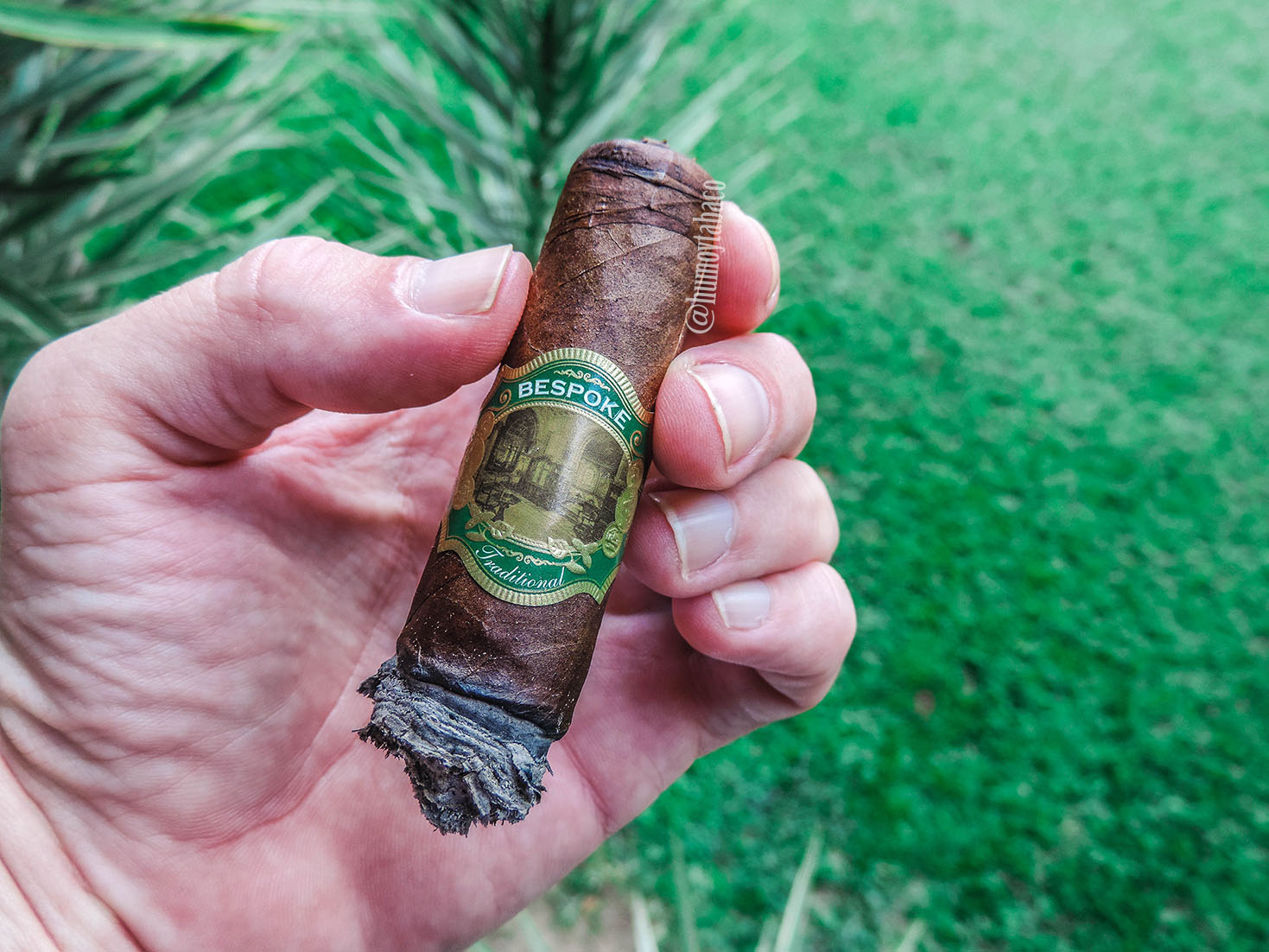 Casdagli - Traditional Cottontail 05