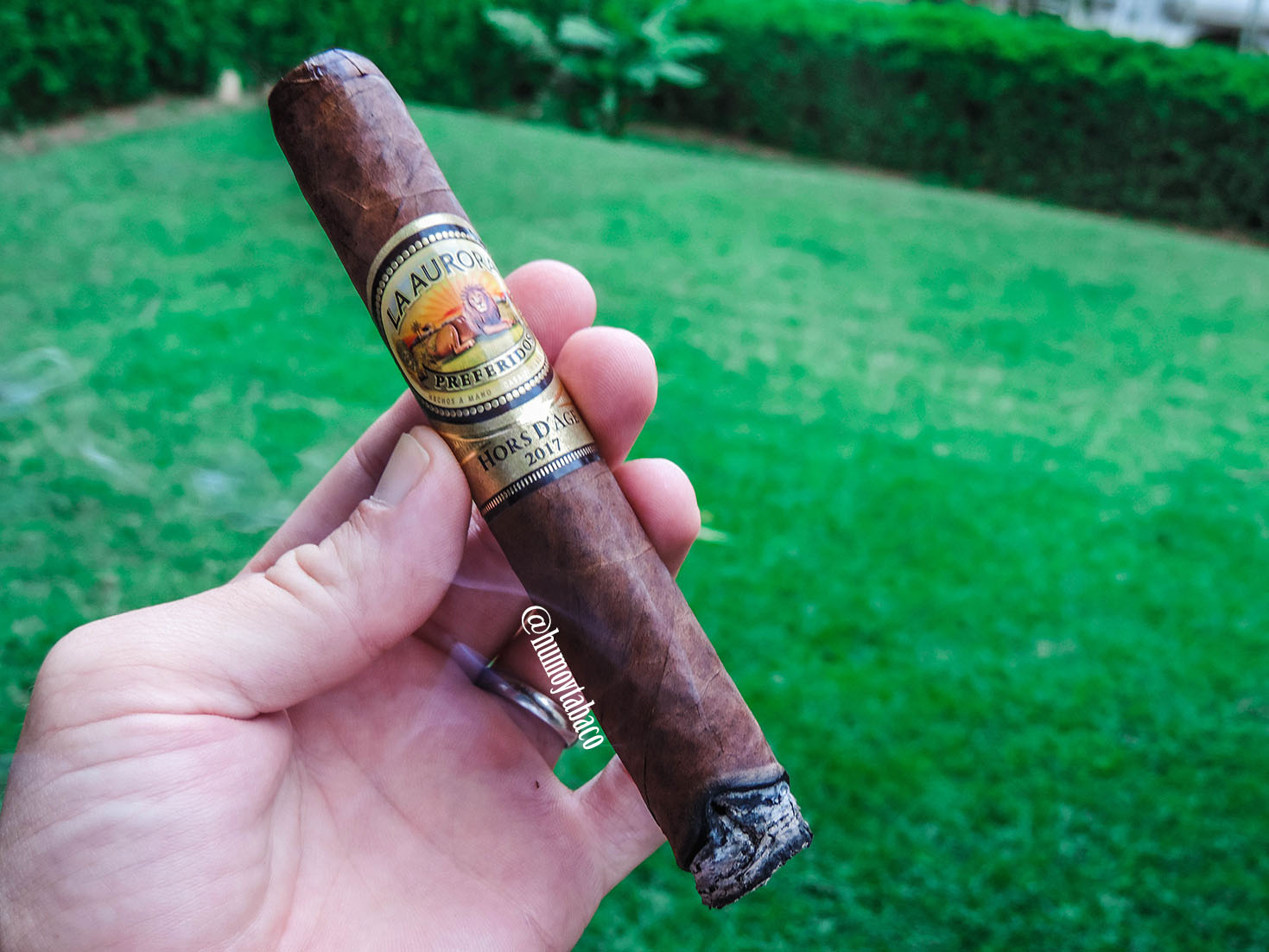 La Aurora - Hors D'Age 2017 02