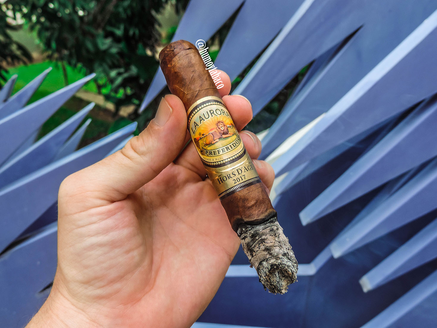 La Aurora - Hors D'Age 2017 04