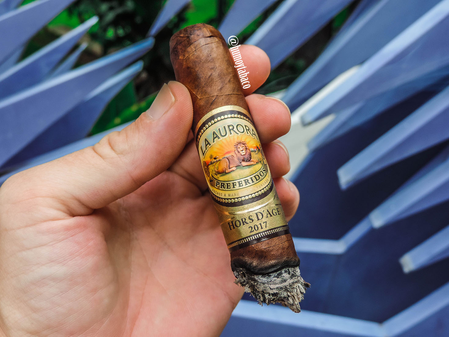 La Aurora - Hors D'Age 2017 05