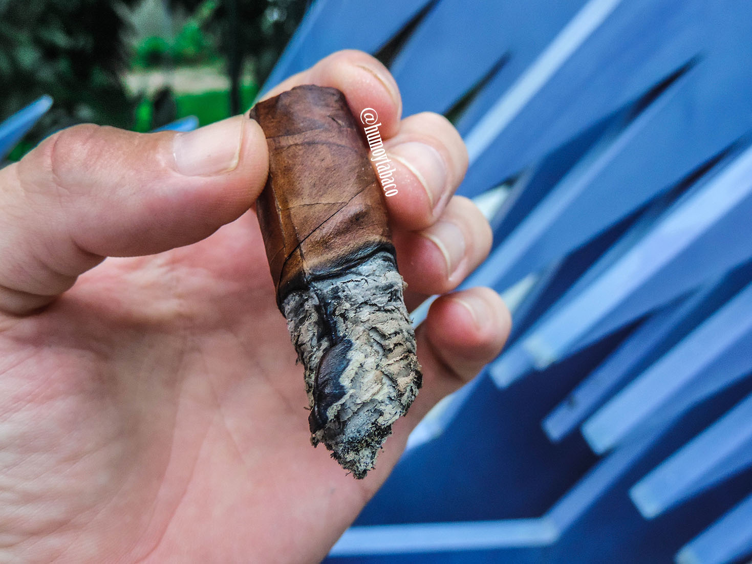 La Aurora - Hors D'Age 2017 06