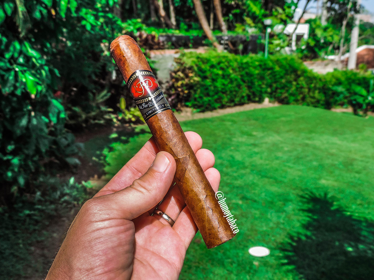 La Flor Dominicana - Limitado V 01