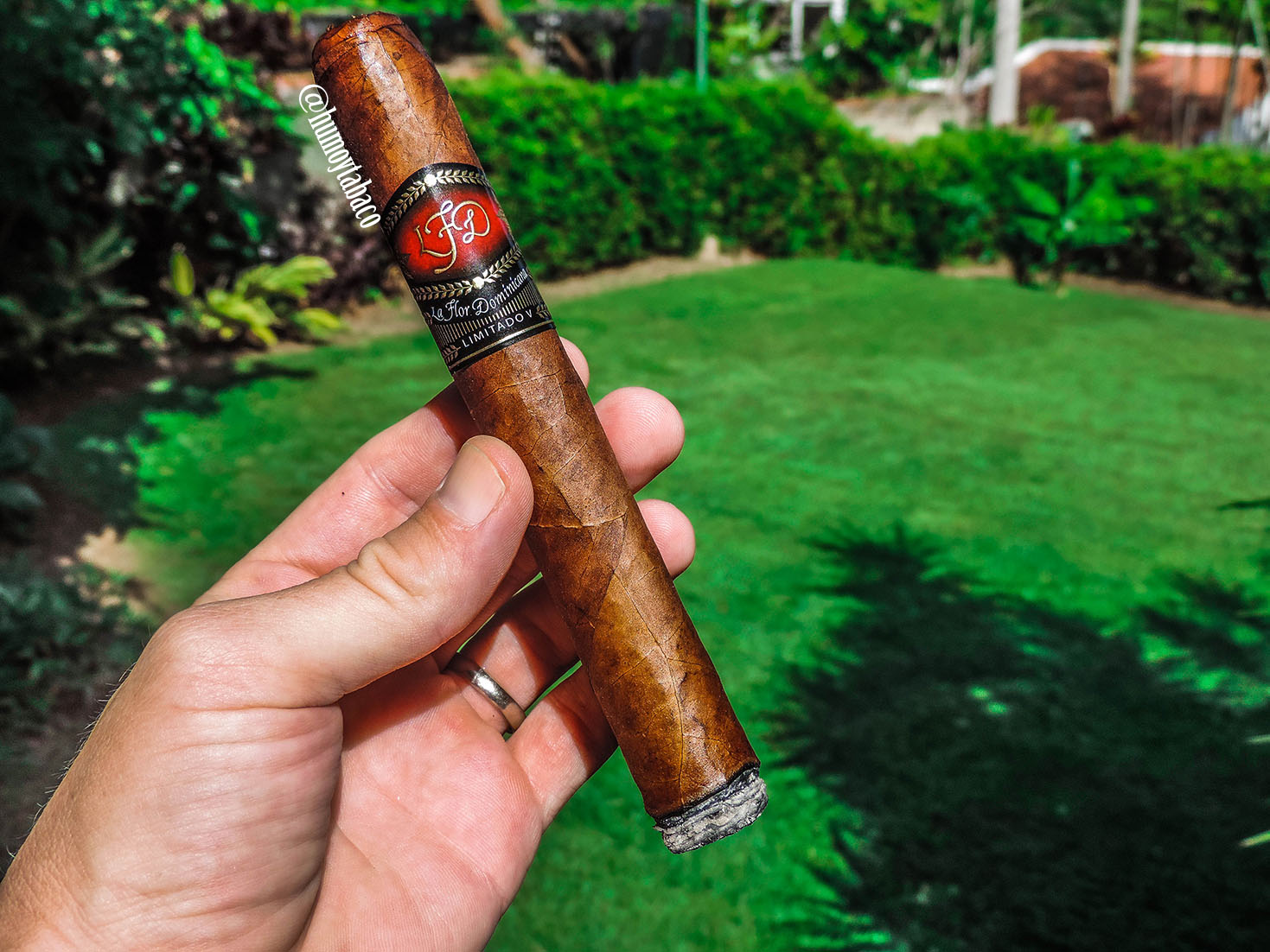 La Flor Dominicana - Limitado V 02