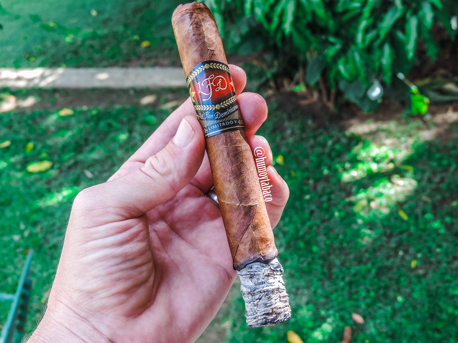 La Flor Dominicana - Limitado V 03