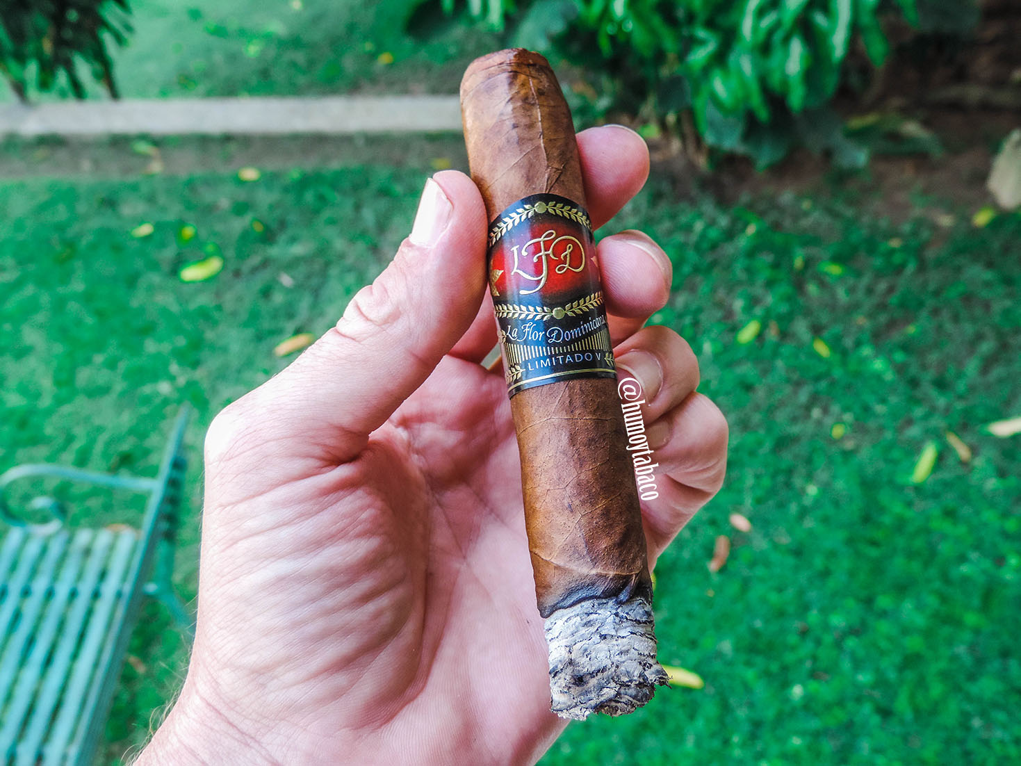 La Flor Dominicana - Limitado V 04