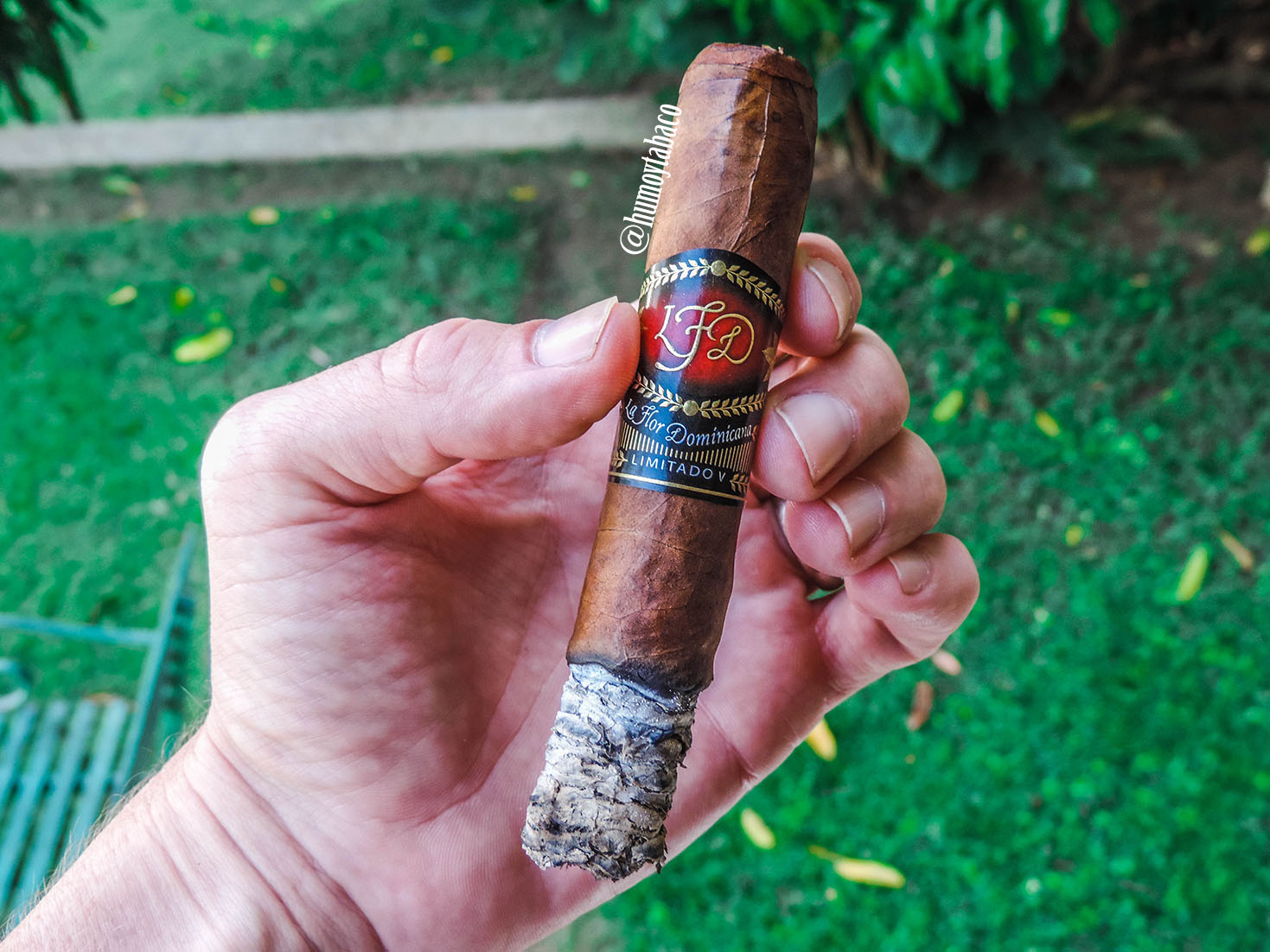 La Flor Dominicana - Limitado V 05