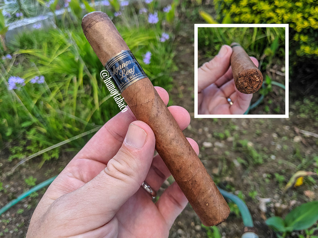 Aganorsa - Arsenio Tribute 01