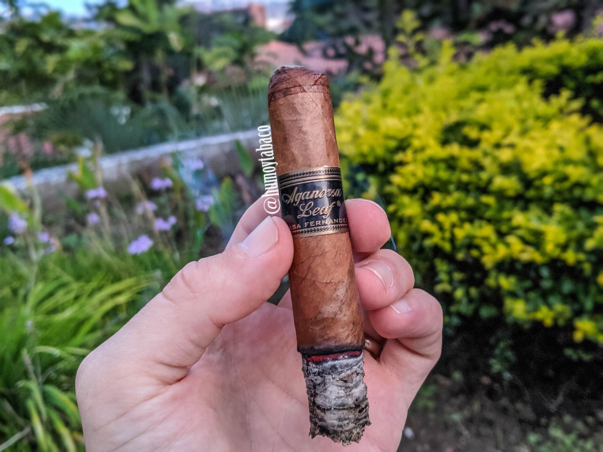 Aganorsa - Arsenio Tribute 04