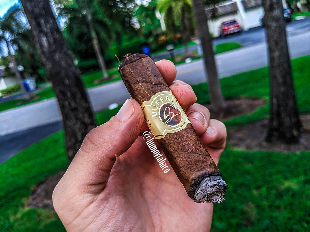 Buffalo - Box Press Habano 05