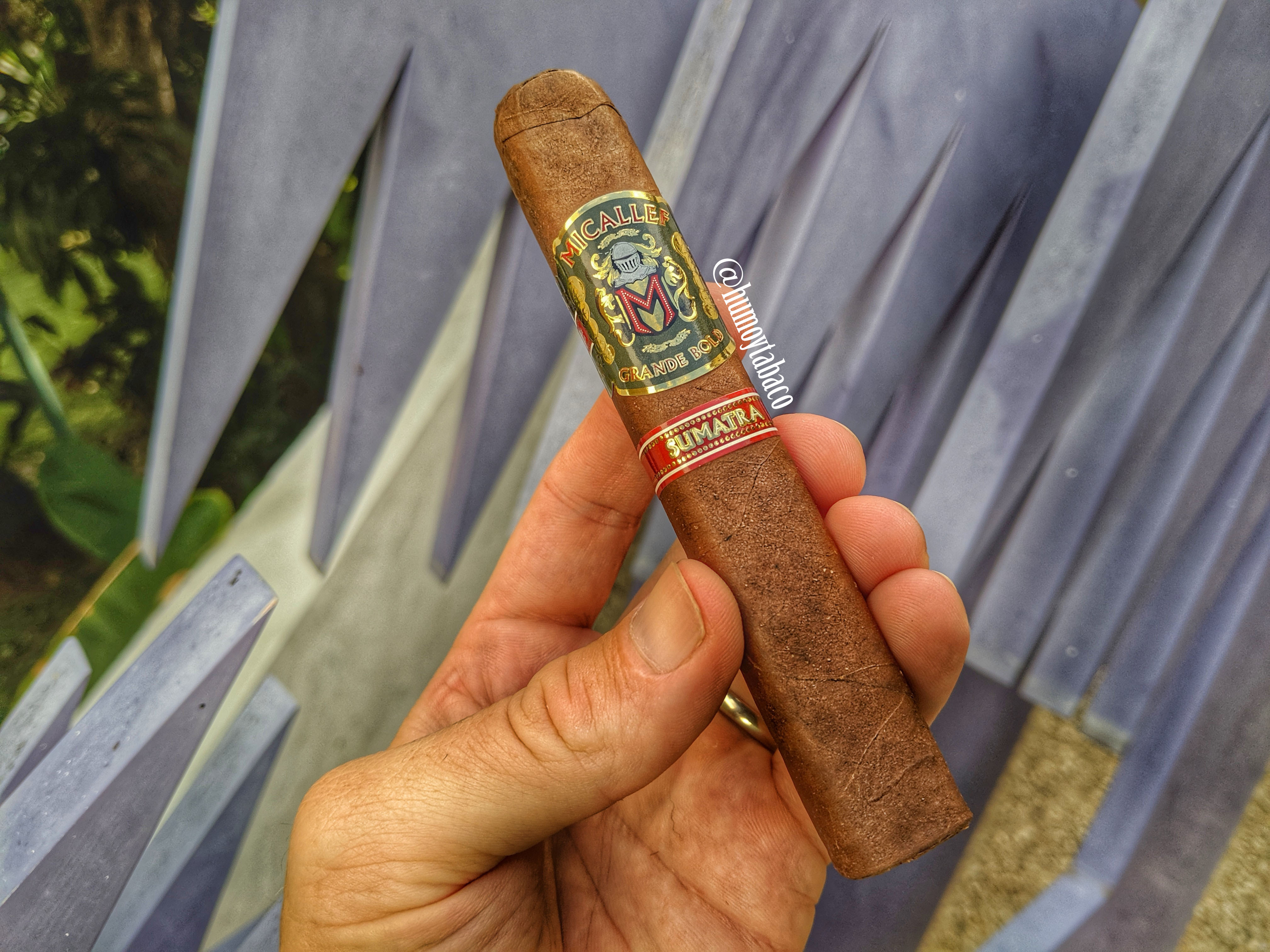 Micallef - Grande Bold Sumatra 01