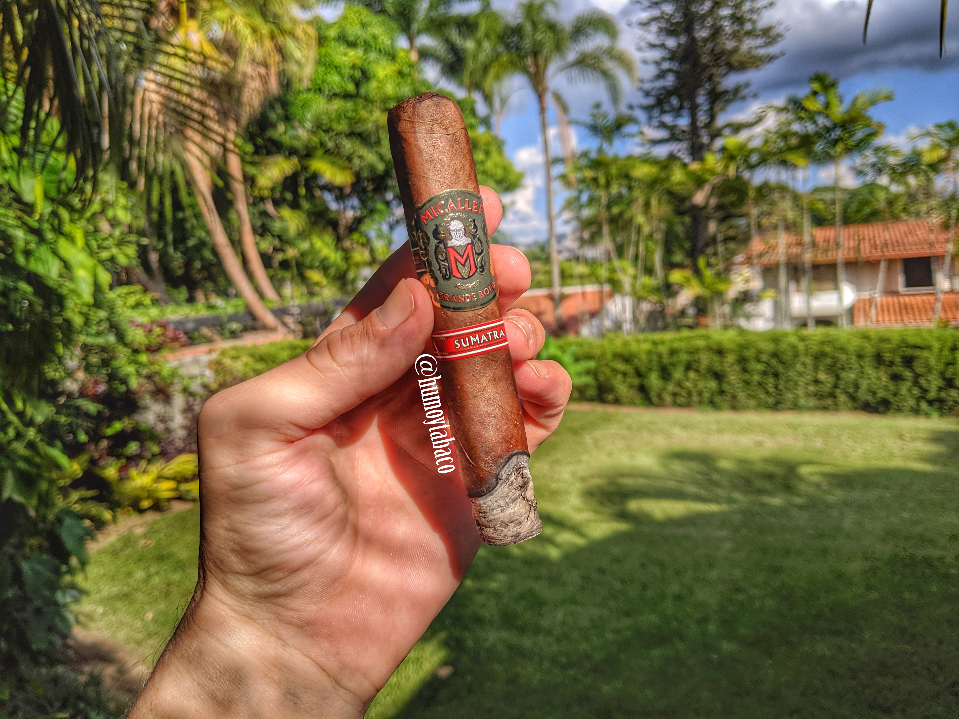 Micallef - Grande Bold Sumatra 03