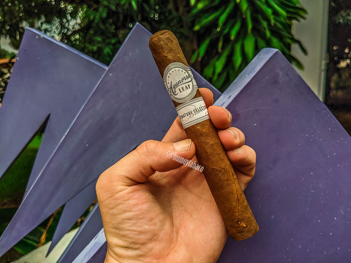 Aganorsa - Singnature Selection 01