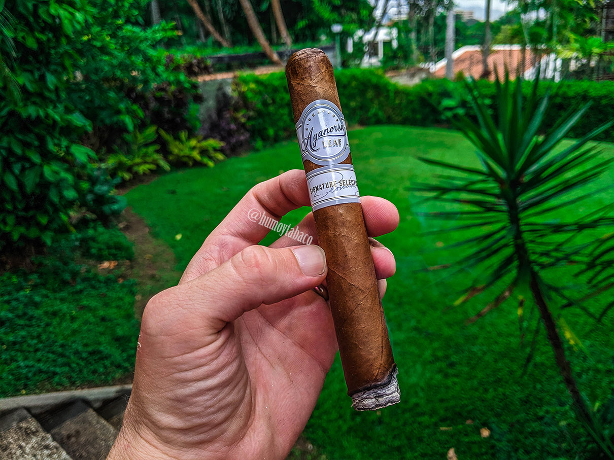 Aganorsa - Singnature Selection 02