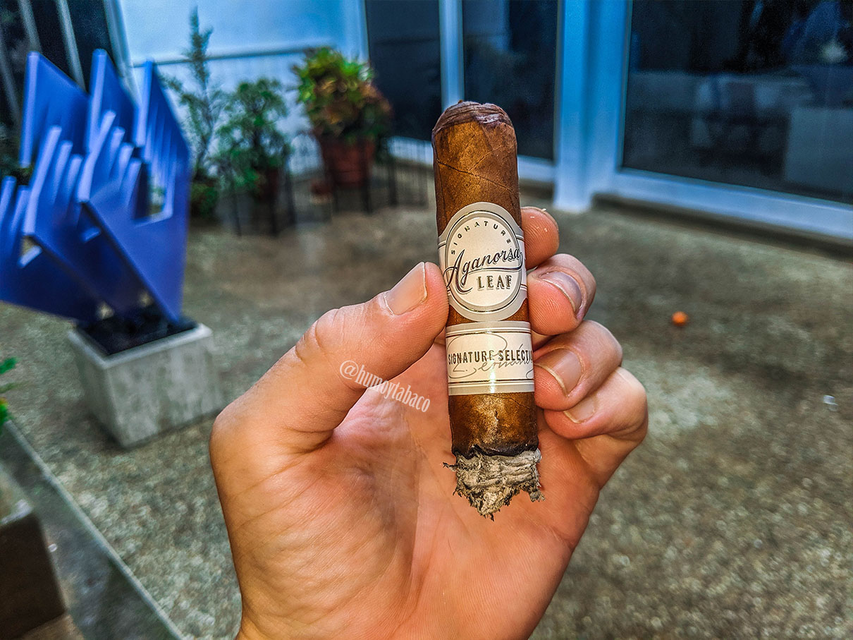 Aganorsa - Singnature Selection 05