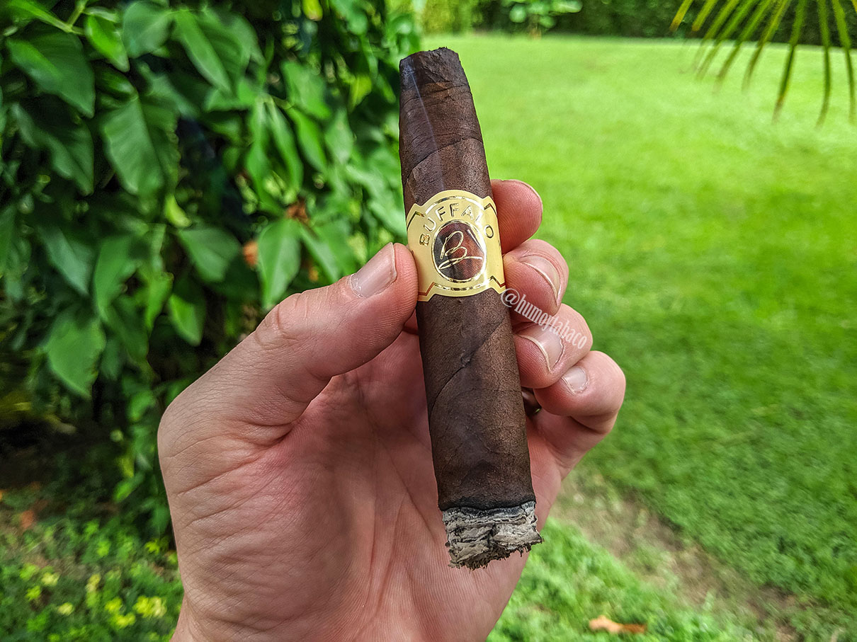 Buffalo - Pico Chato 02