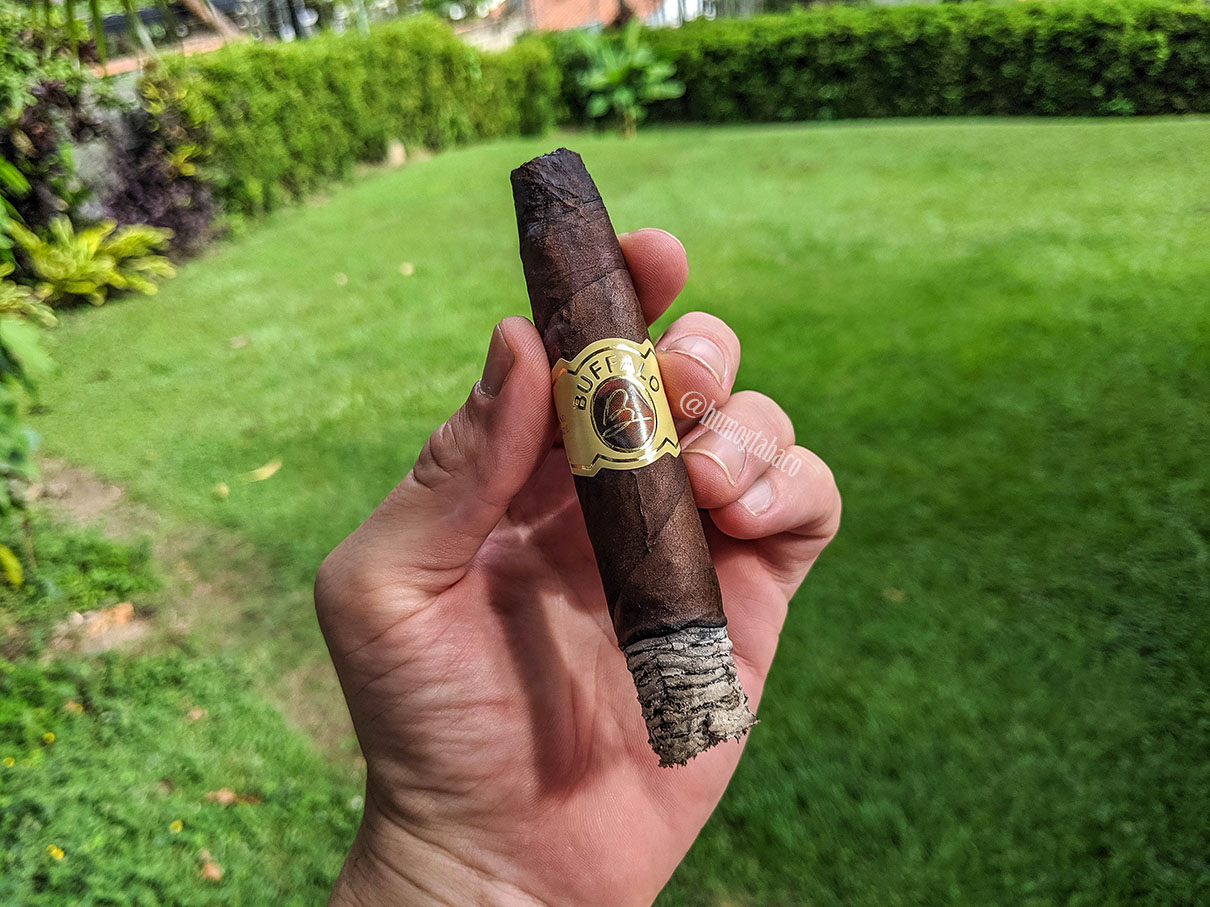 Buffalo - Pico Chato 03