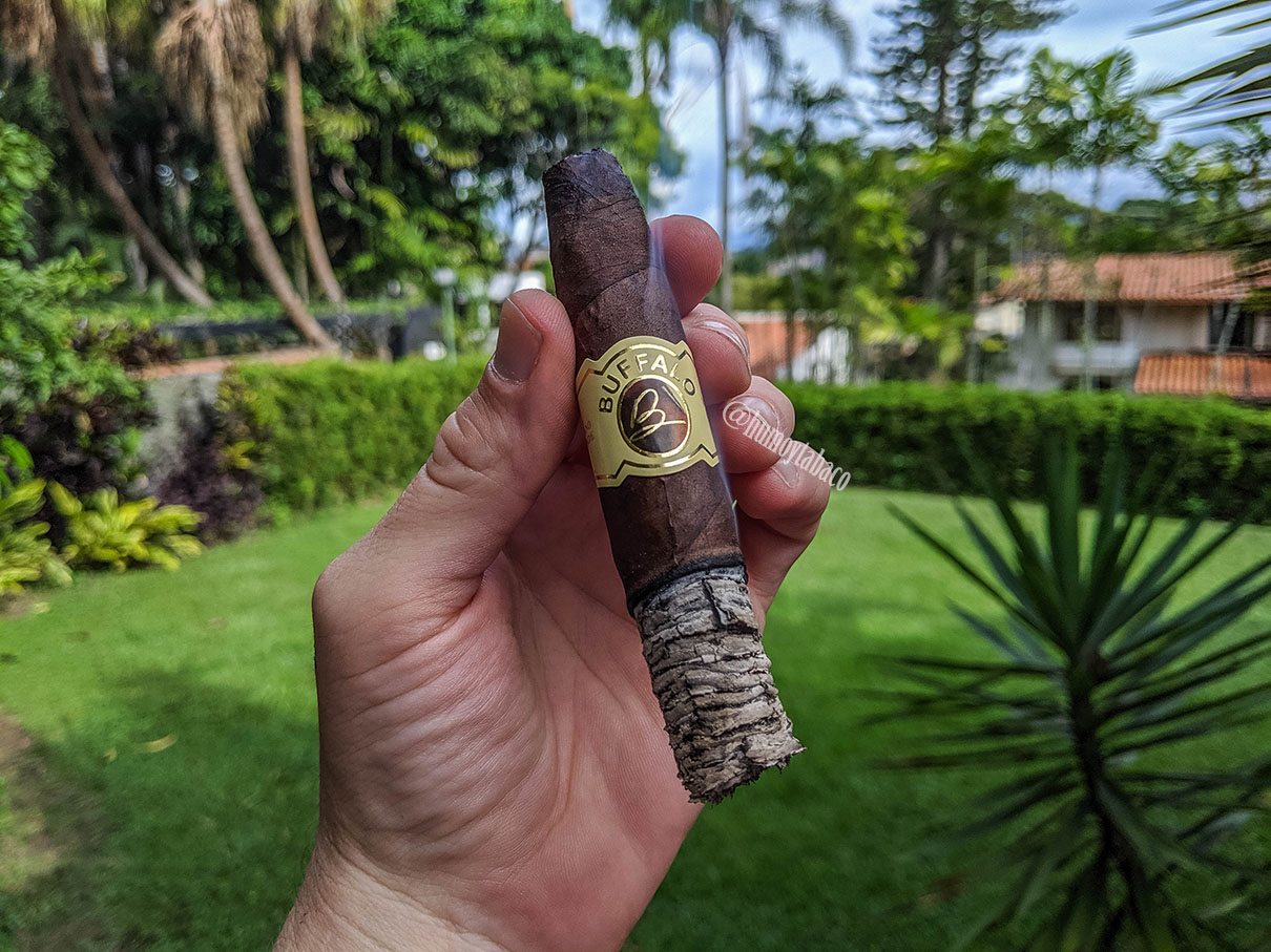 Buffalo - Pico Chato 04