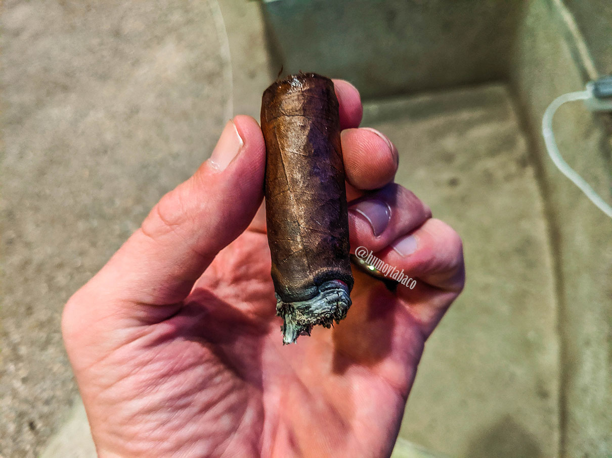 Mbombay - Corojo Oscuro 05