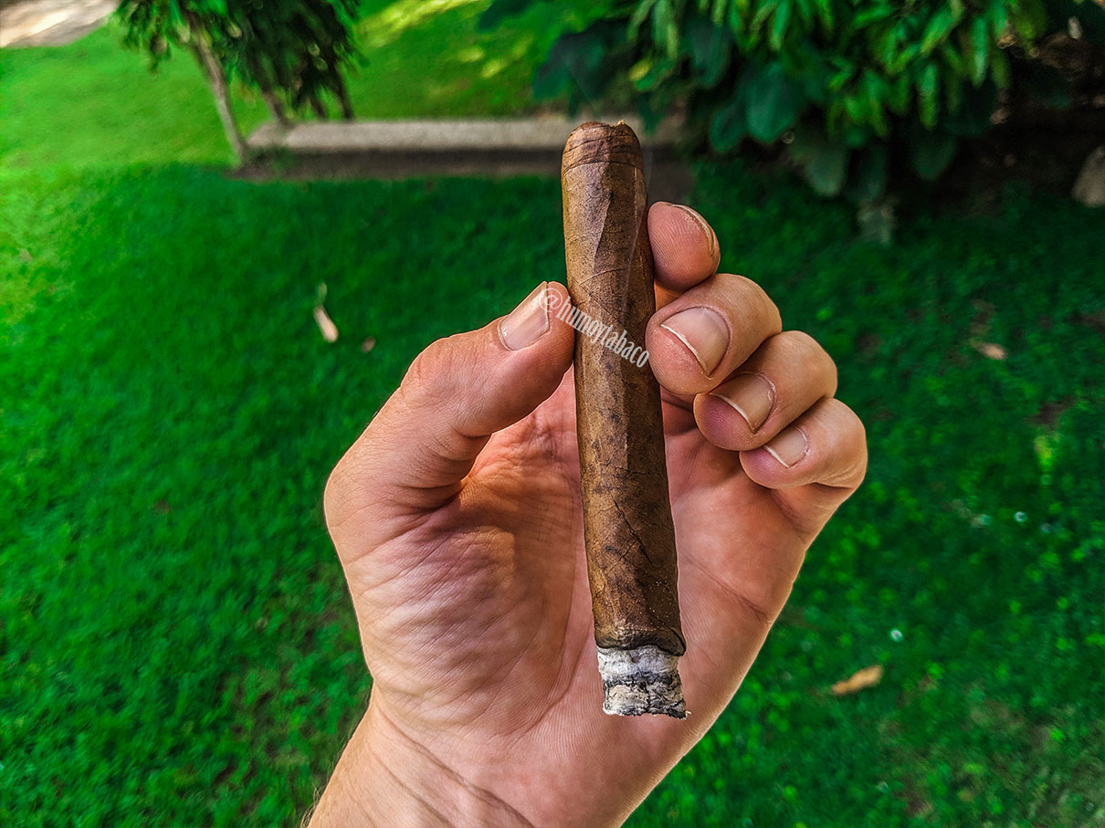 Warped - Lirio Rojo 04