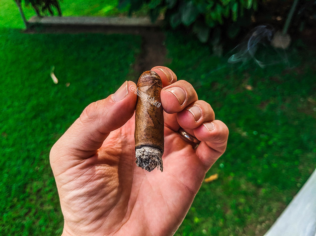 Warped - Lirio Rojo 06