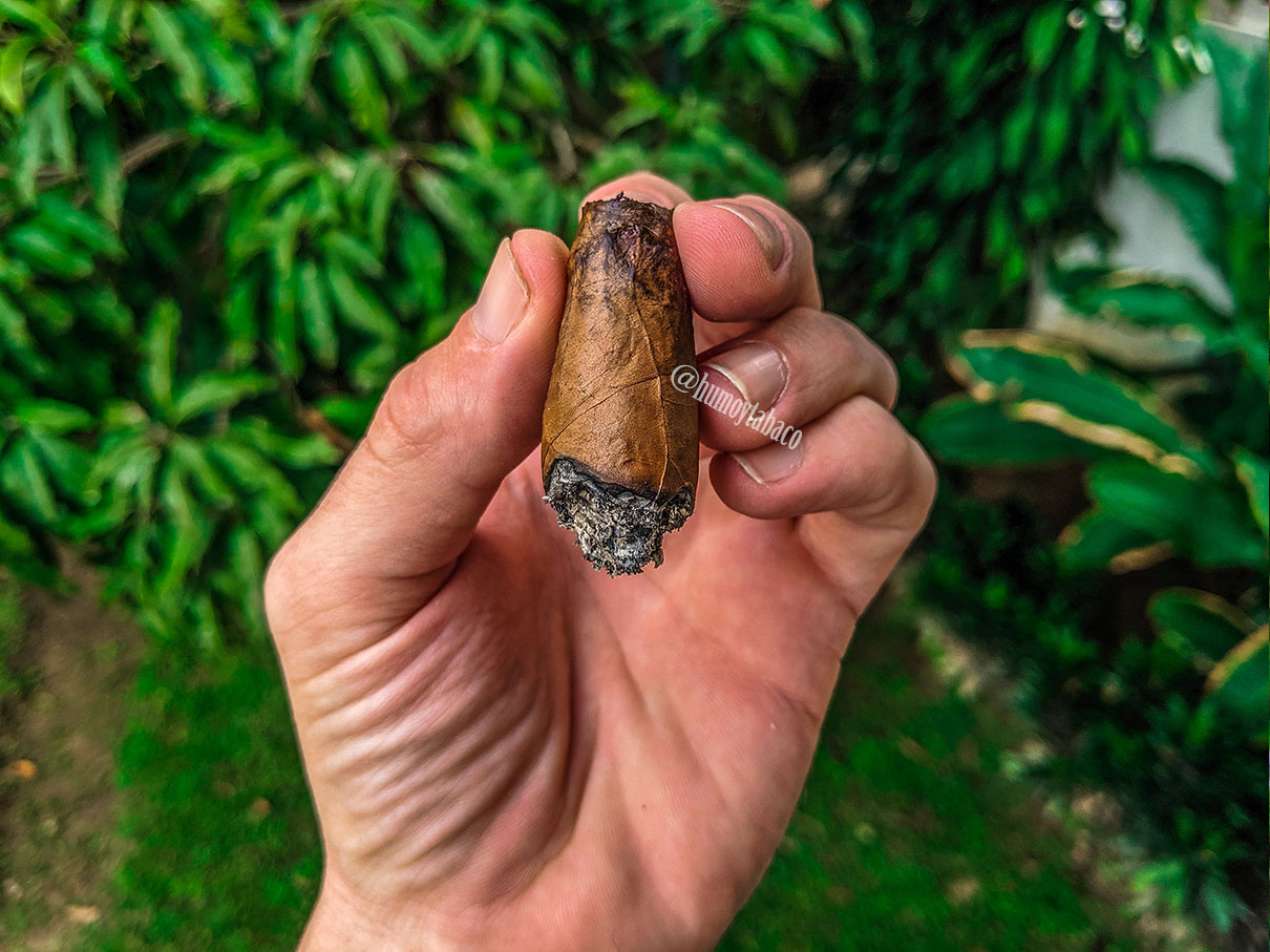 La Alianza - Únicos Rosado 03