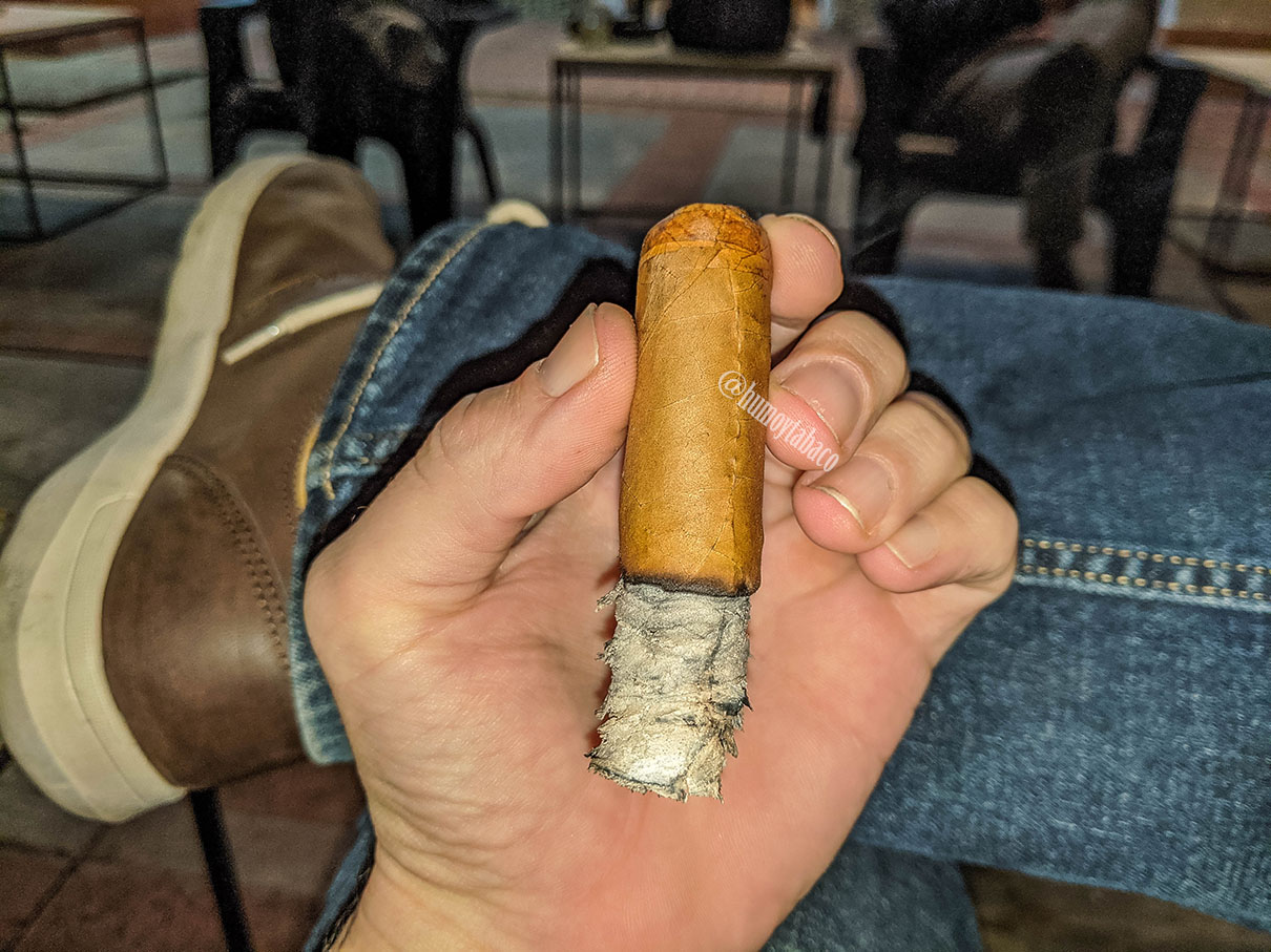 CFT - Whipped Cream 05