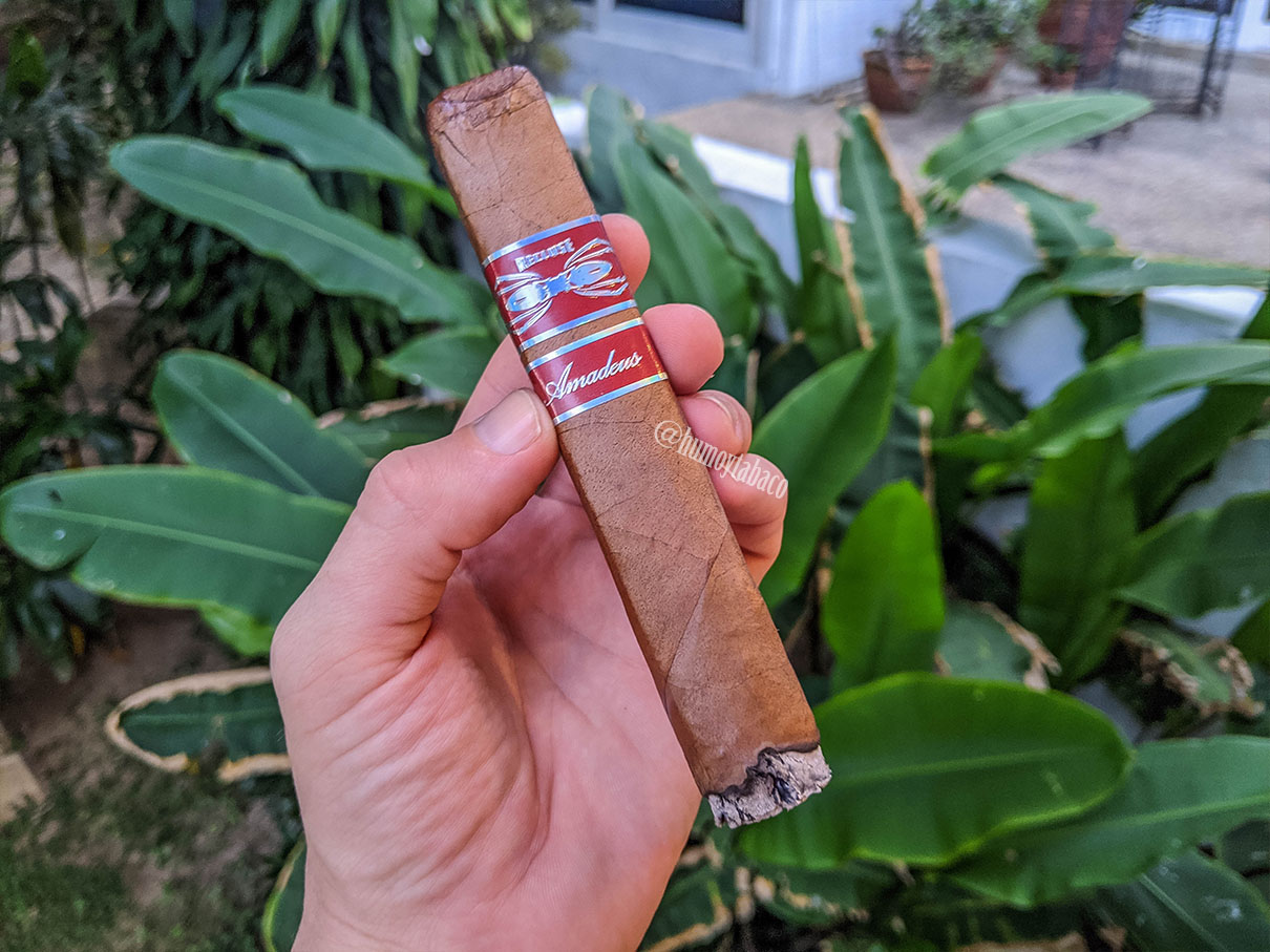 Iconic Leaf - Recluse Amadeus Habano 02