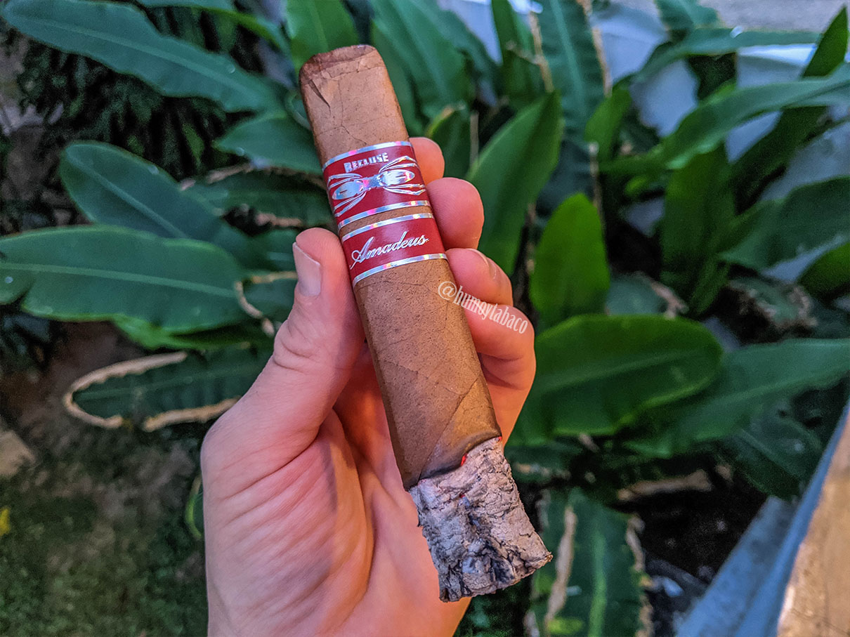 Iconic Leaf - Recluse Amadeus Habano 03