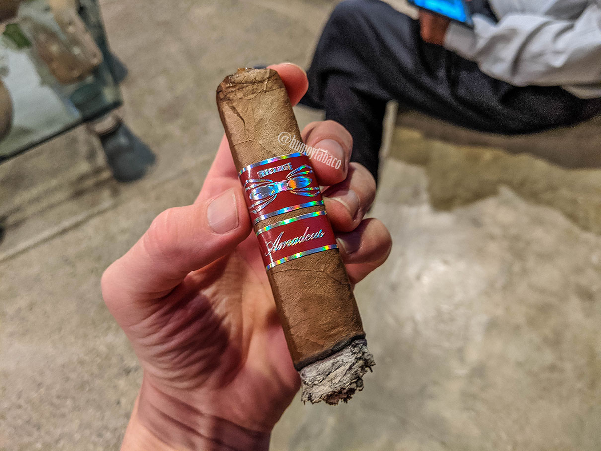 Iconic Leaf - Recluse Amadeus Habano 04