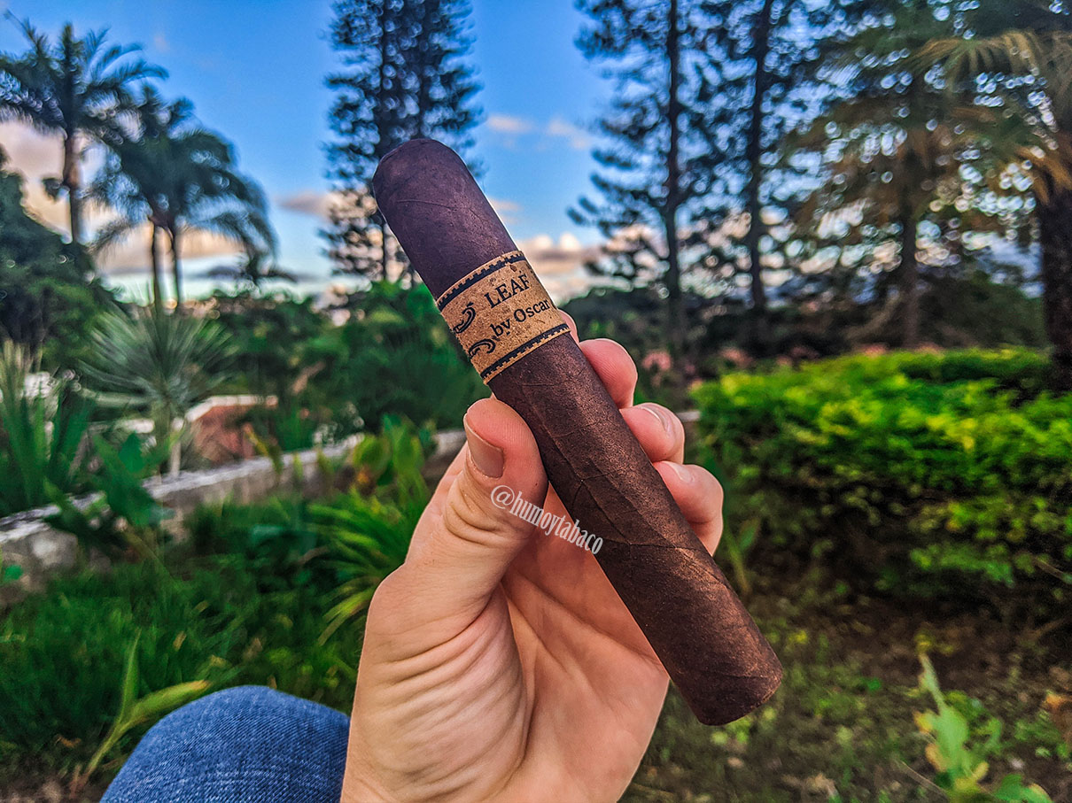 Oscar Valladares - Leaf Maduro 01