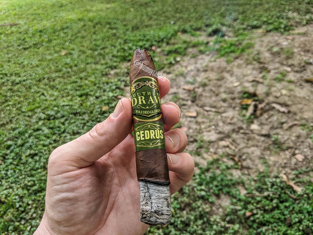 Southern Draw - Cedrus 03