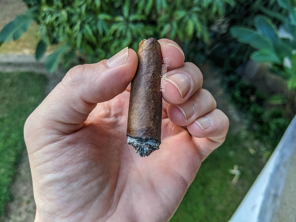 Adventura - The Navigator 06