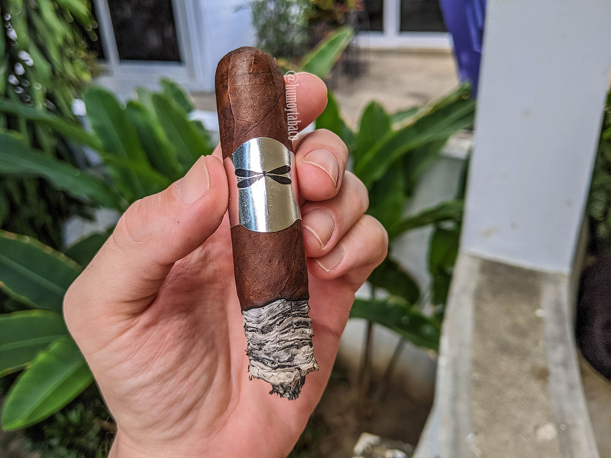 Jeremy Jack - Libelula 04