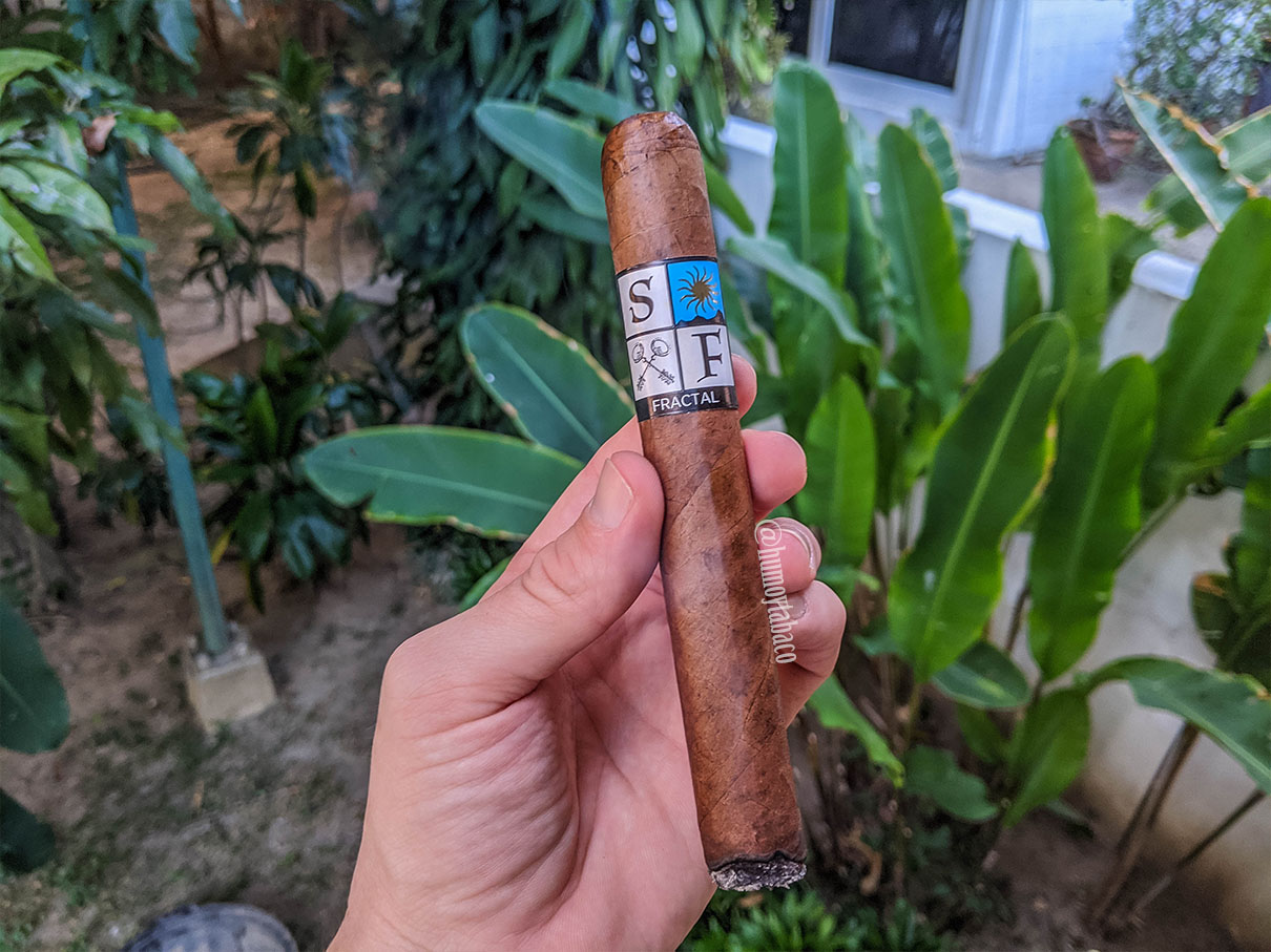 Sacra Folium - Fractal 02