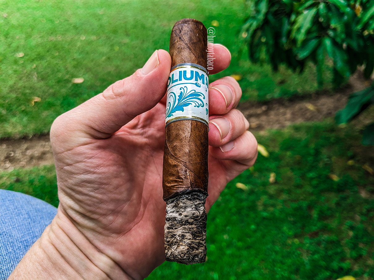 Sacra Folium - Radix 03