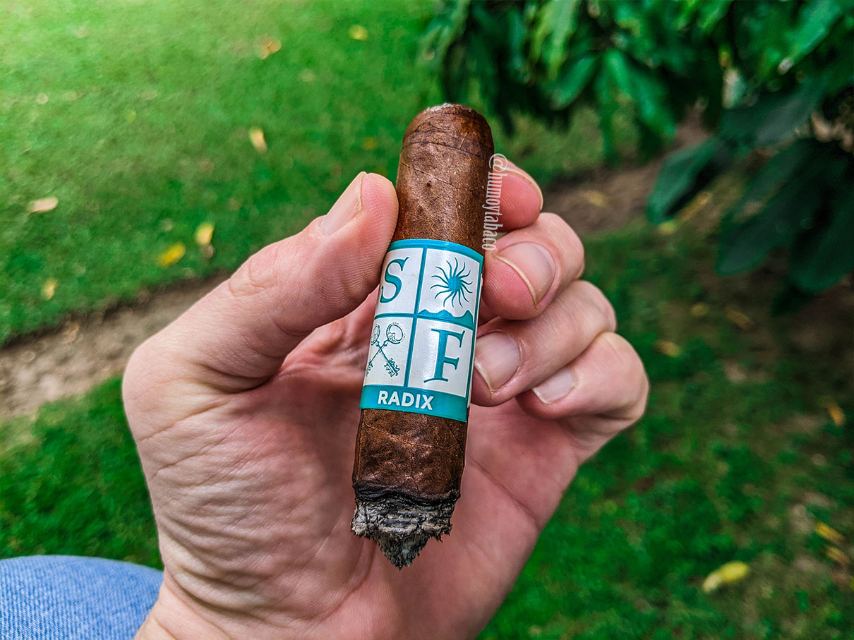 Sacra Folium - Radix 05