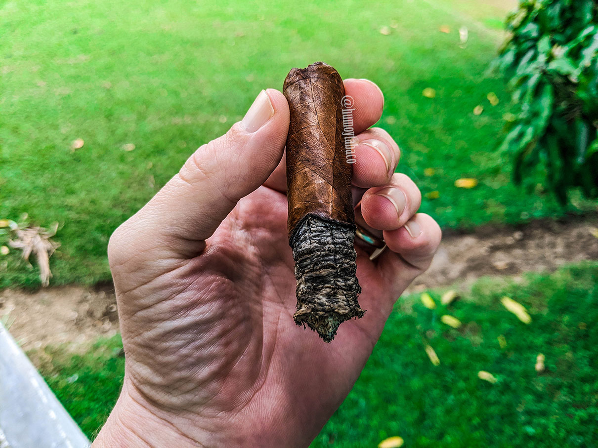 Sacra Folium - Radix 06