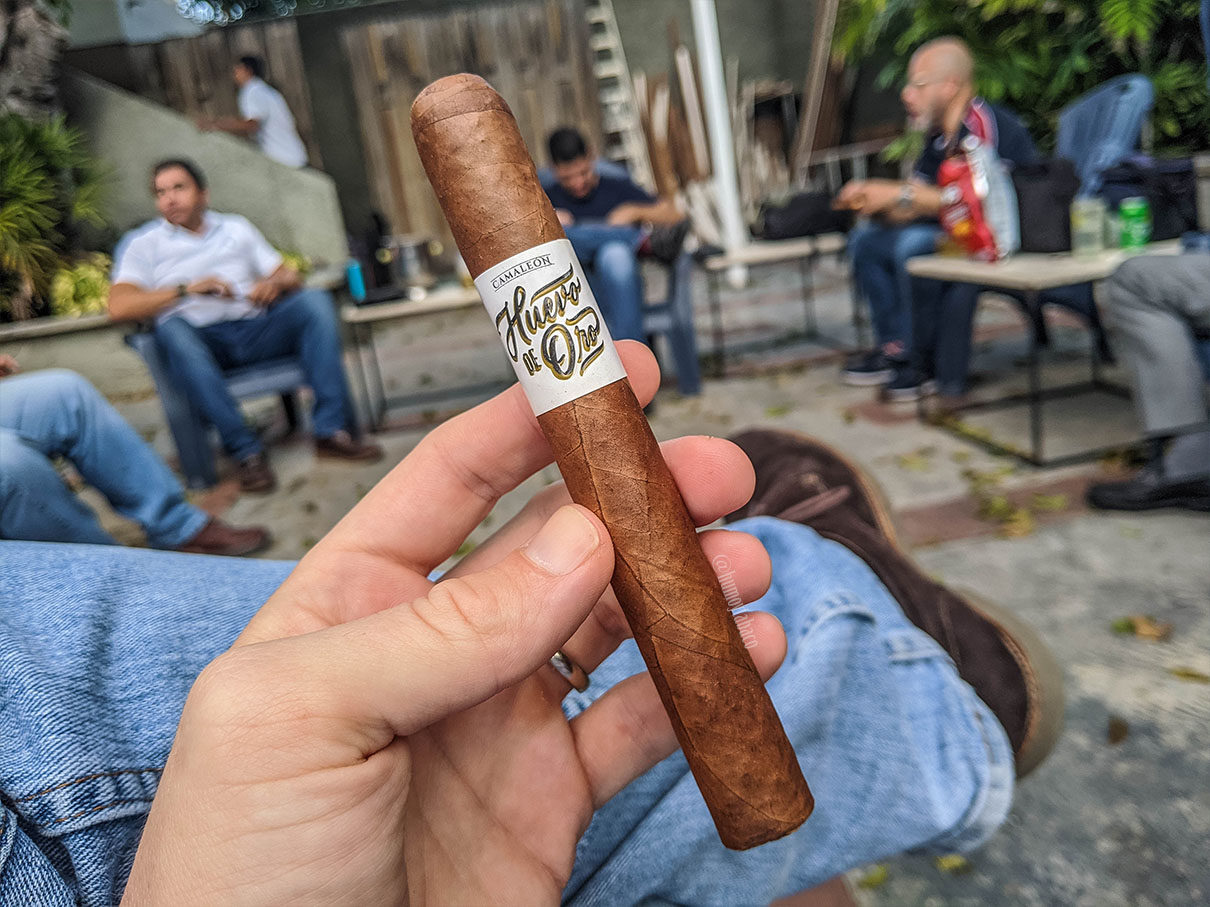 Camaleon - Huevo de Oro 01