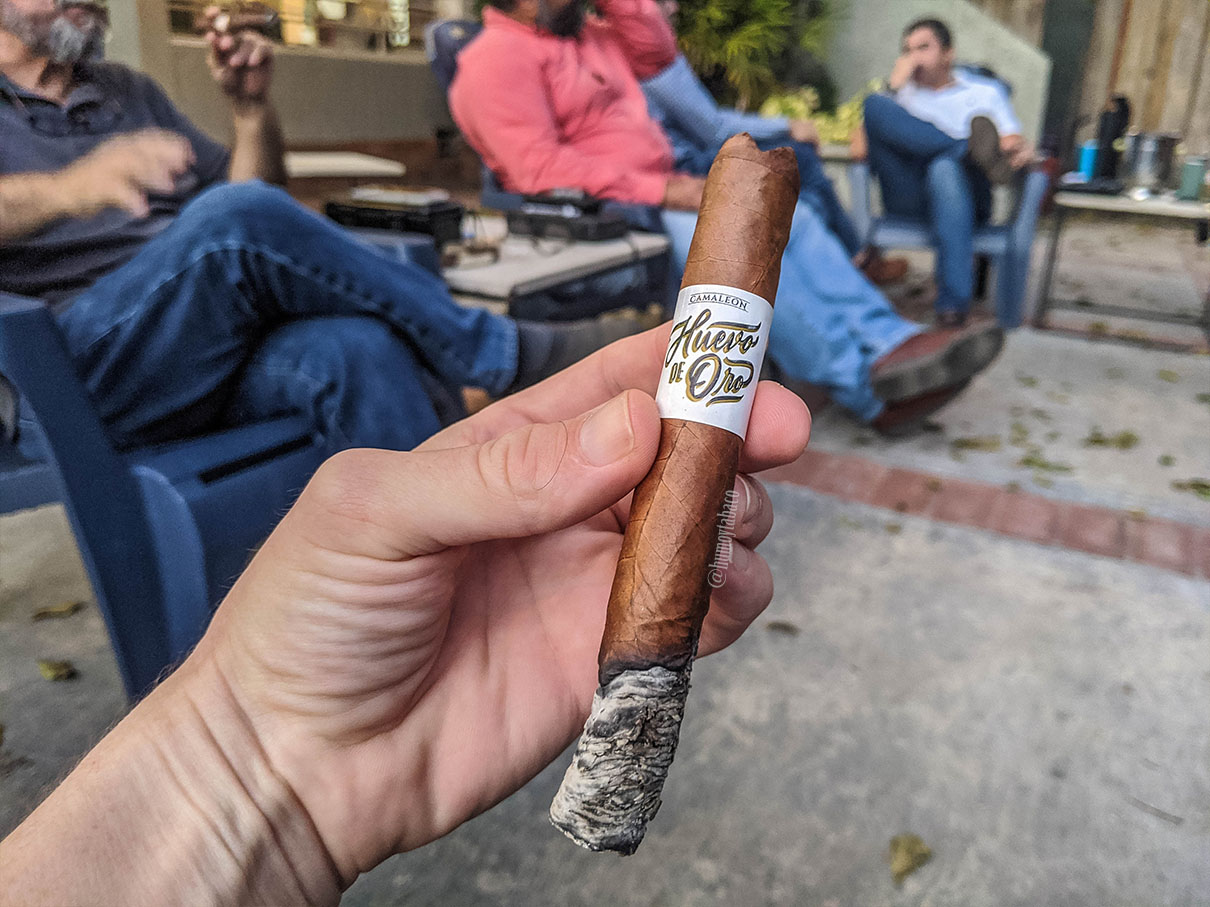 Camaleon - Huevo de Oro 04