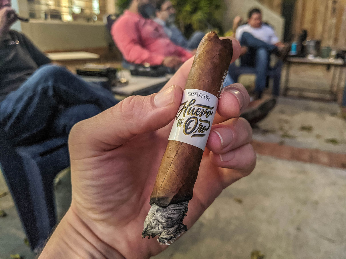 Camaleon - Huevo de Oro 05