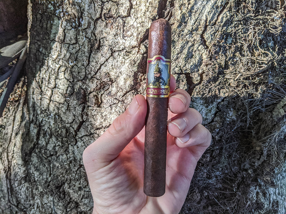 Foundation Cigar - The Tabernacle Havana Seed 01