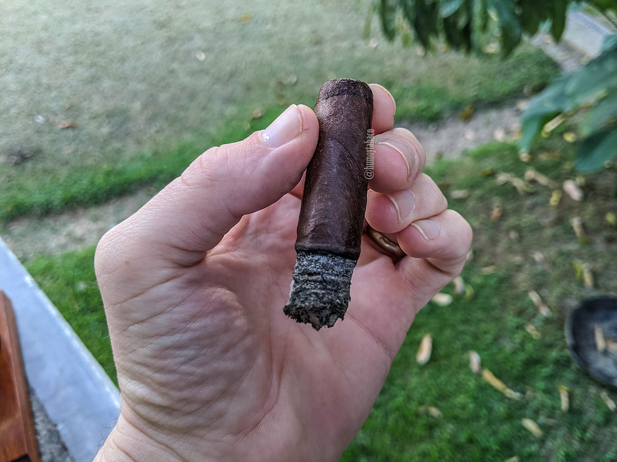 Foundation Cigar - The Tabernacle Havana Seed 06