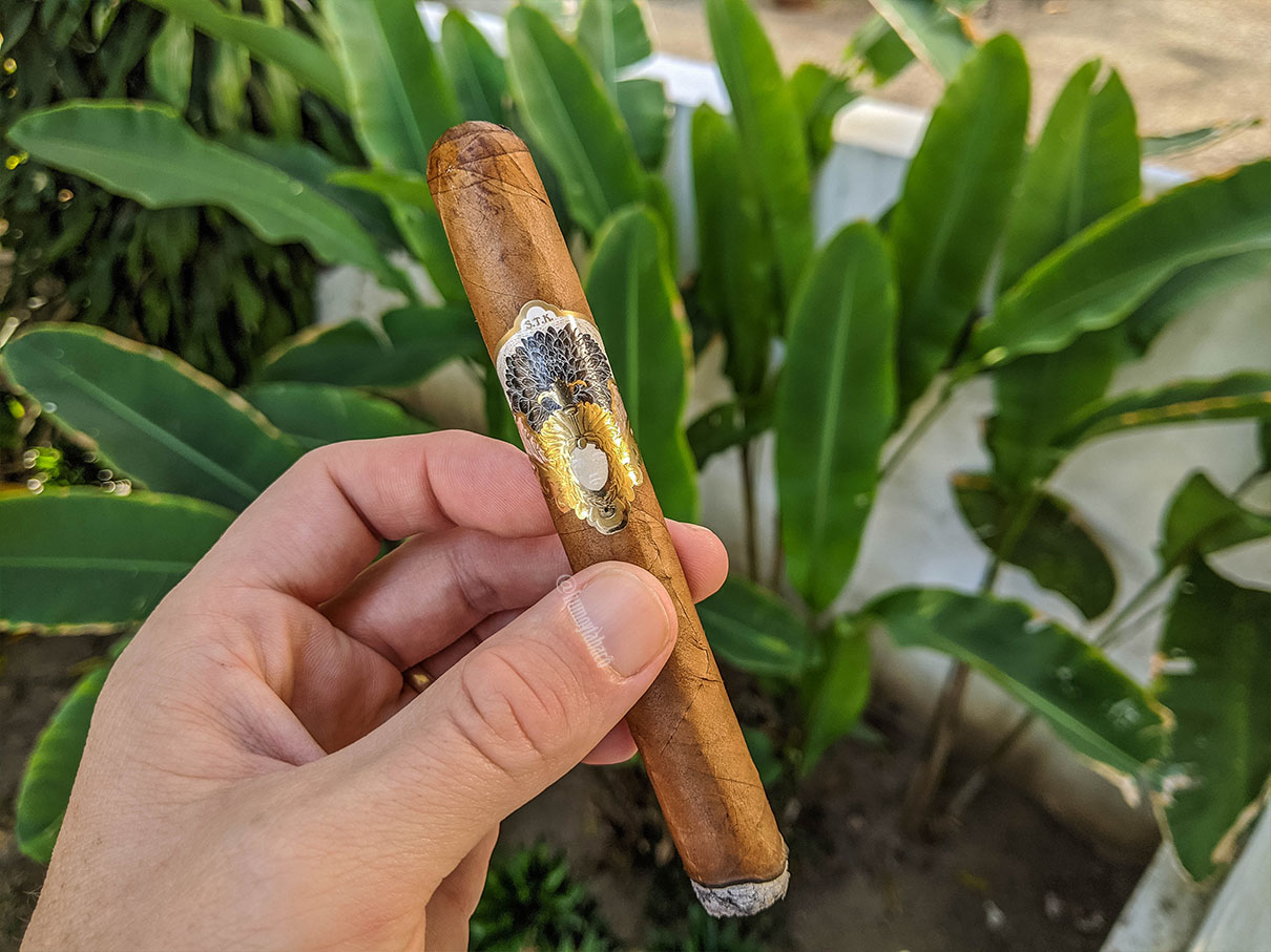 Gran Habano - STK Black Dahlia 02