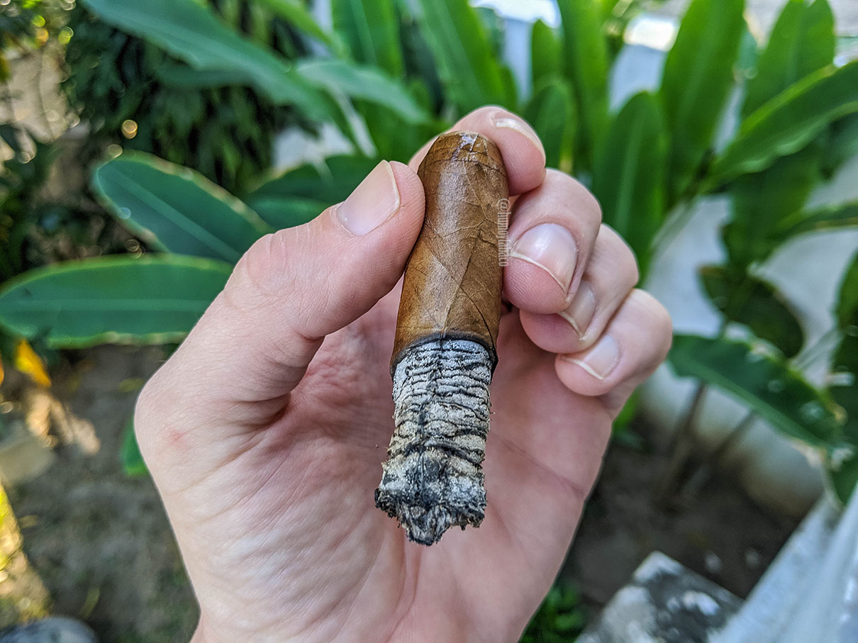 Gran Habano - STK Black Dahlia 06